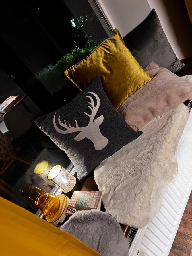 Bavaria Mountain Lodge Ski Arber Osser Bayrischer Wald Designer Ferienwohnung Lohberg Eksteriør bilde