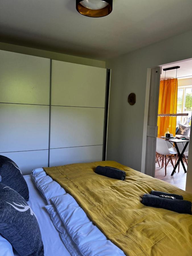 Bavaria Mountain Lodge Ski Arber Osser Bayrischer Wald Designer Ferienwohnung Lohberg Eksteriør bilde